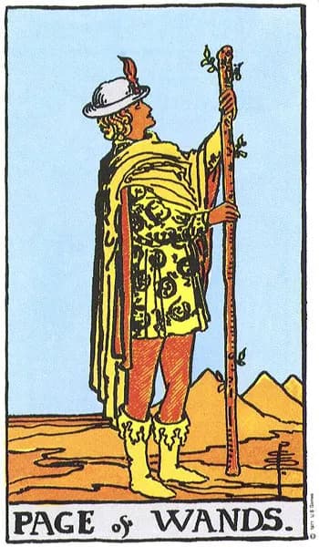 Rider-Waite tarot card: Page of Wands (Page of wands)